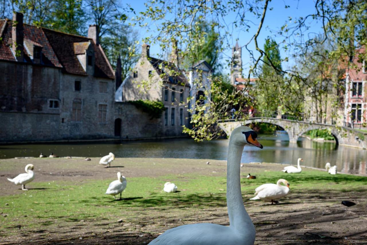 Haven 7 Bed & Breakfast Brugge Dış mekan fotoğraf